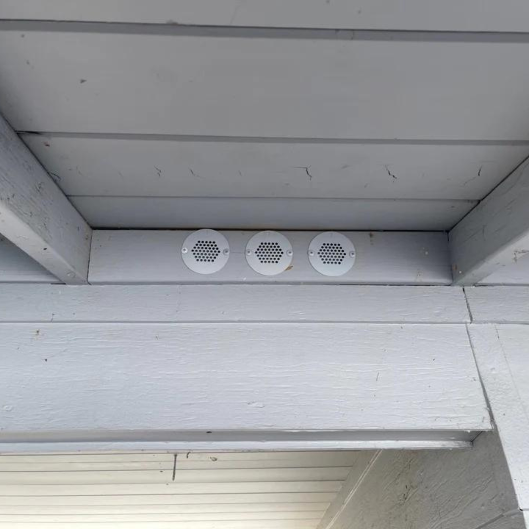 Eave/Bird Hole Vents