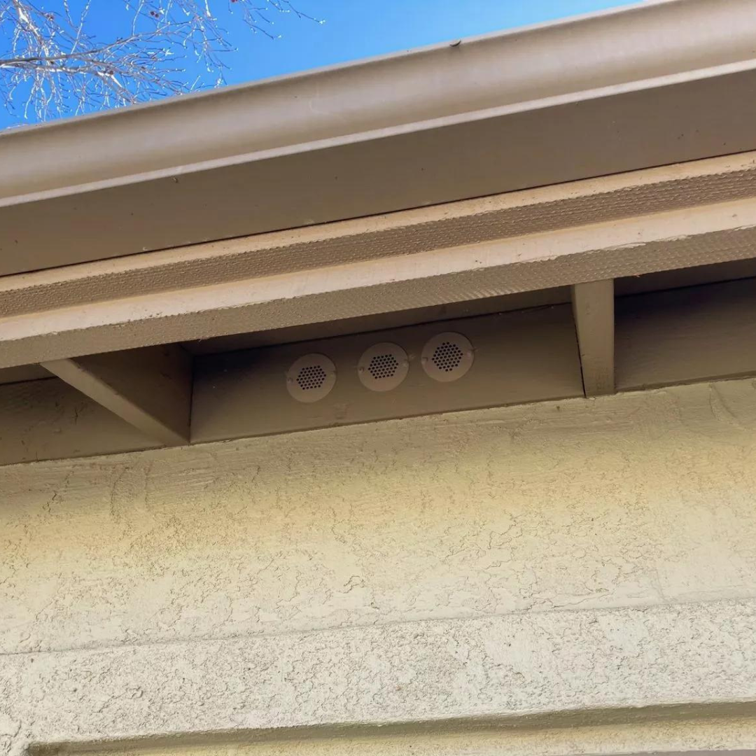 Eave/Bird Hole Vents